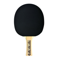 Набор для настольного тенниса DONIC CHAMPS 150