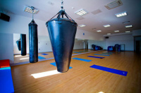 Коврик для йоги AeroFit FT-YGM-5.8, синий